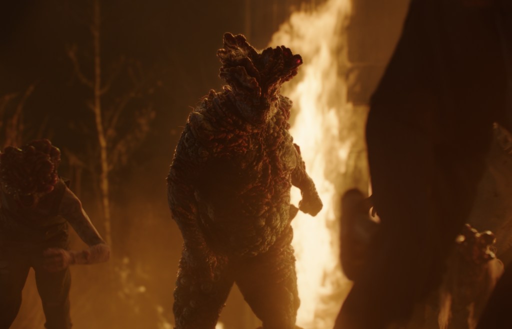 The Last of Us: Things About Fungi from A to&nbsp;Zombie